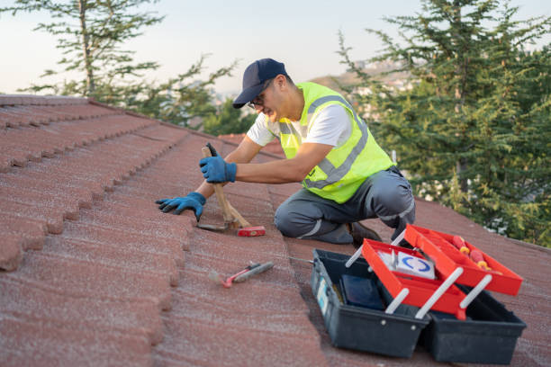 Sealant for Roof in Johnson City, TN