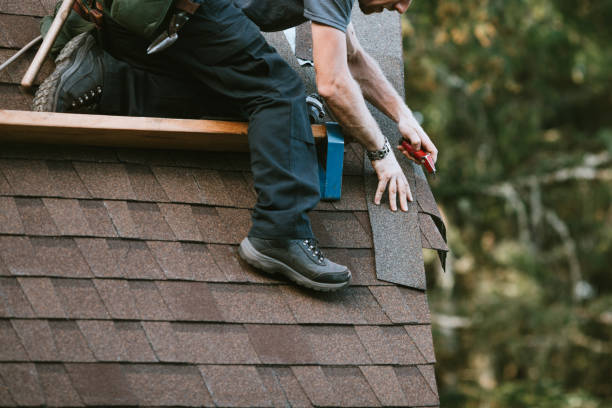 Roof Gutter Cleaning in Johnson City, TN
